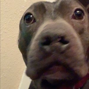 Meet your Posher, Kylah